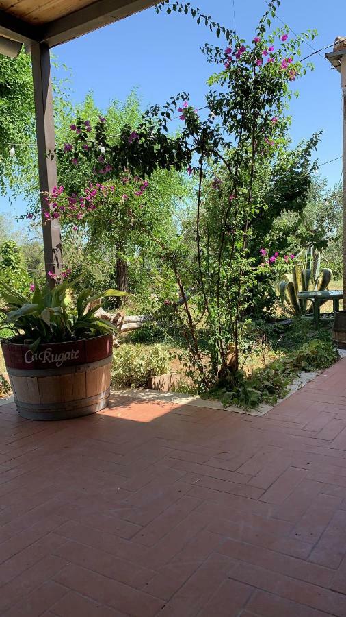 Signor Cesare Agrobistrot B&B Сан-Джованни-Ротондо Экстерьер фото